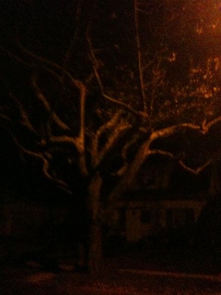 Once there was a tree